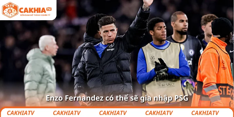 Enzo Fernandez có thể sẽ gia nhập PSG
